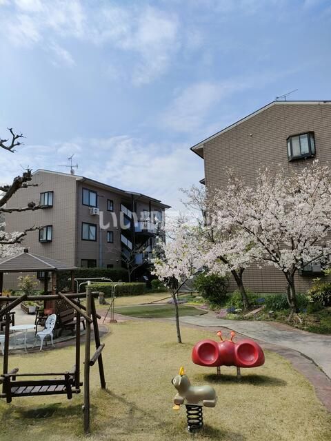 庭
