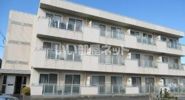 シャトレ手柄の間取り画像