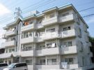 M・サンシャインの間取り画像