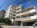 LA・VITAROSA 松栄の間取り画像