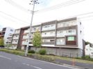 ベルフルール弐番館 住居の間取り画像