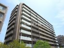 サーパス昭和町一丁目の間取り画像