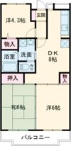 ドミールピアの間取り画像