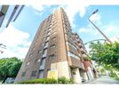 ルミエール池袋要町の間取り画像