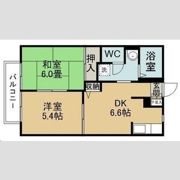 アルビオン・ハイムの間取り画像