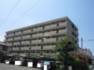 マルベリーHouseの間取り画像