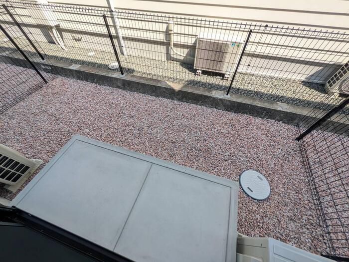 庭