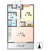 サンクチュアリ Ⅱの間取り画像
