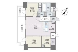 MODERN PALAZZO天神南Ⅱの間取り画像