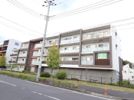 ベルフルール弐番館 住居の間取り画像
