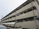マンションマルカ サウスの外観