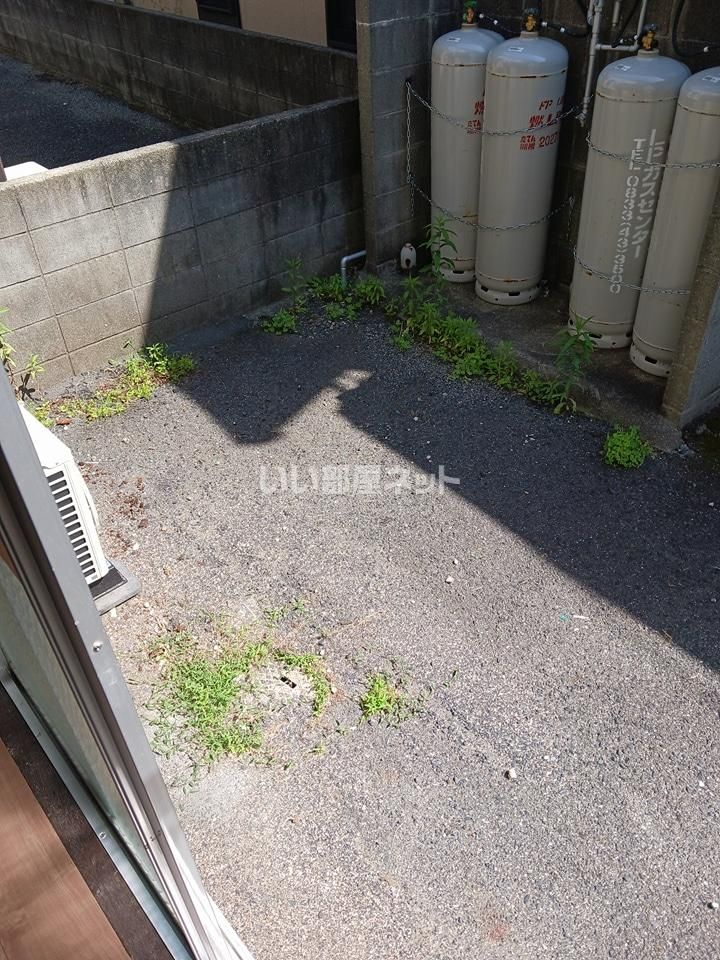 庭