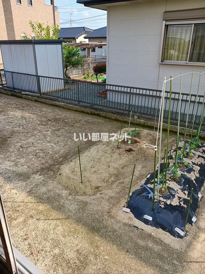 庭