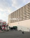 高尾パークハイツA棟の間取り画像