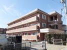 デスパシオAの外観