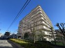 青木橋スカイハイツの間取り画像