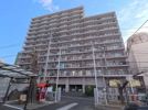パシフィック五橋の間取り画像