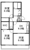 ソフィア・パレシオンH棟の間取り画像