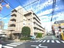 ステラ本厚木の間取り画像