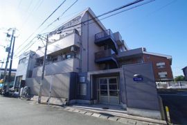 アンプルール新屋敷の外観画像