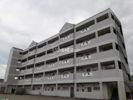 フィレンツェ津の間取り画像