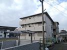 セレナイトの外観画像
