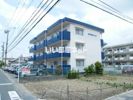 松下細島ライフの間取り画像
