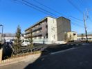 Court FORENA 壱番館の間取り画像