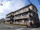 グレイス スクエア新涯 5 C棟の間取り画像