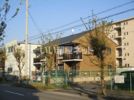 ロイヤルシャトーの間取り画像