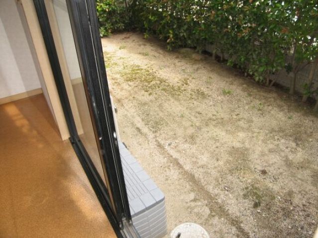 庭