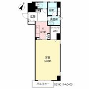 アネシス片野の間取り画像