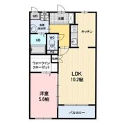 Raffine Solareの間取り画像