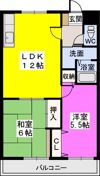 ハルコートの間取り画像