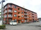 まつきマンションの間取り画像