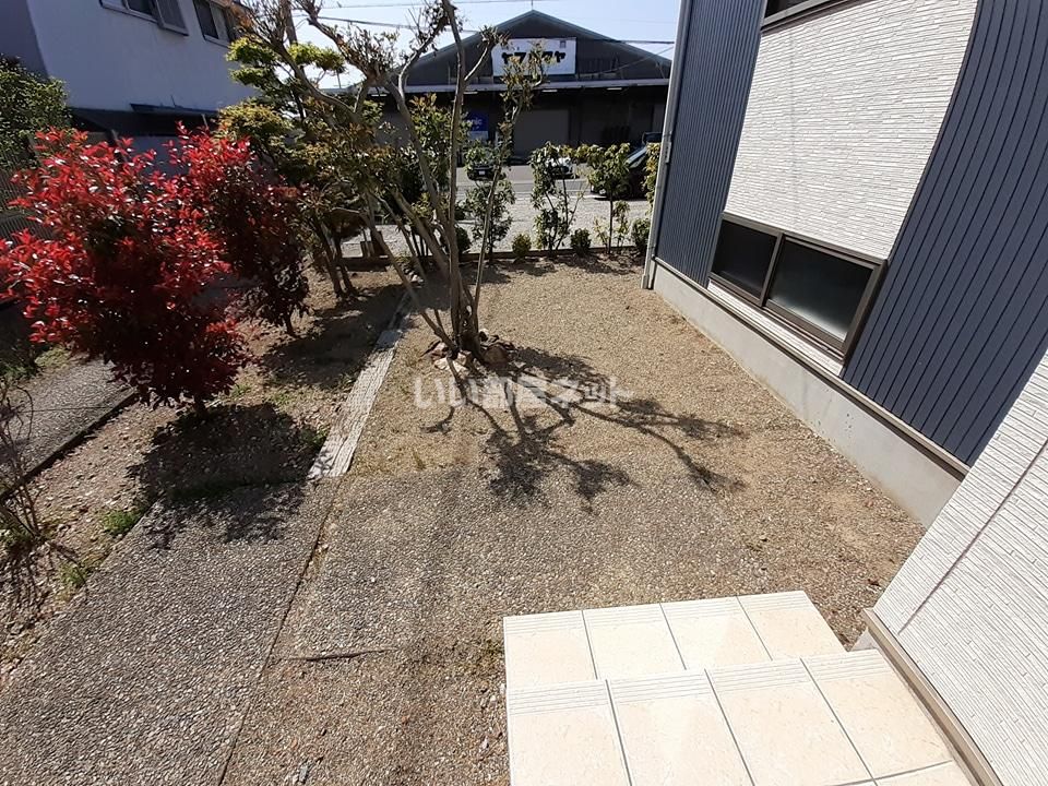 庭