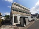 プルトーネの間取り画像