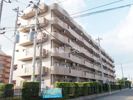 ビアン本間 Ⅱの間取り画像