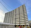 ライフインサーラ1407号室の間取り画像