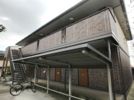 ベルシオン新川端の間取り画像