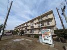 エントピア勝田台の間取り画像