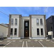 アビシニアンの外観画像