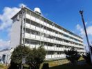 ビレッジハウス井村2号棟の間取り画像