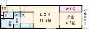 ルーチェ千歳本町の間取り画像