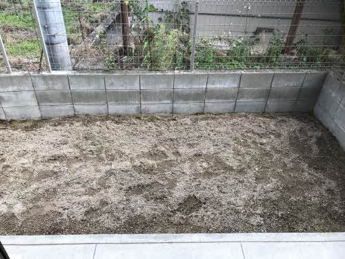 庭