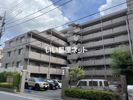 ステラコートの間取り画像