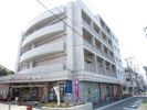 パインリッチ湘南の間取り画像