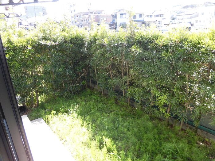 庭