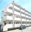 シーサイドハイツ早川の間取り画像