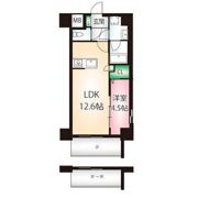 カメリア丸の内の間取り画像